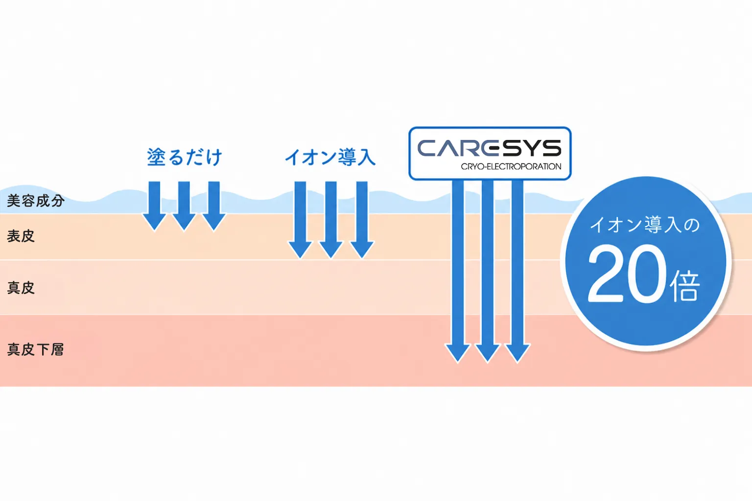 caresys_point
